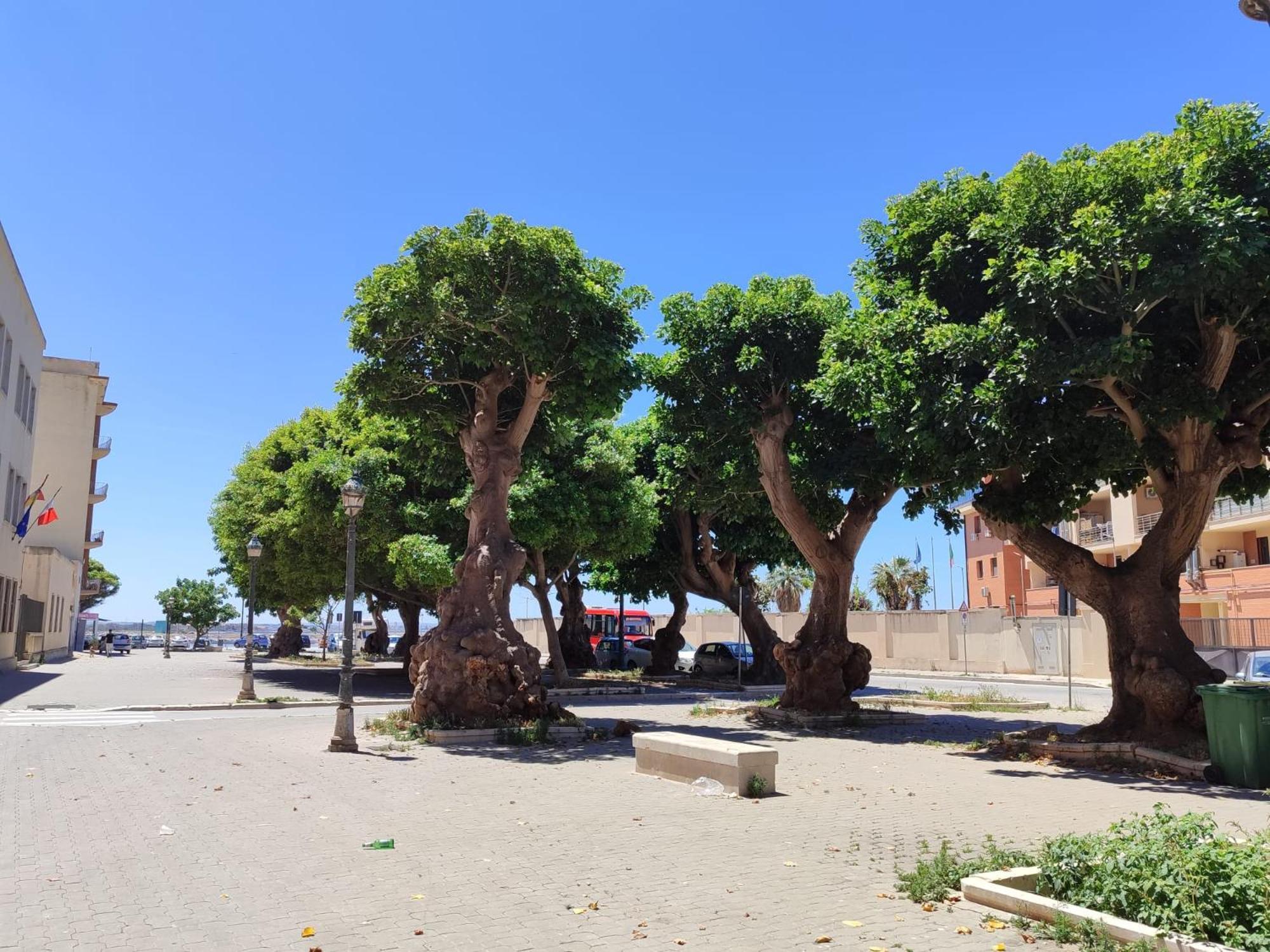 Alla Marina Da Pina Trapani Exterior photo