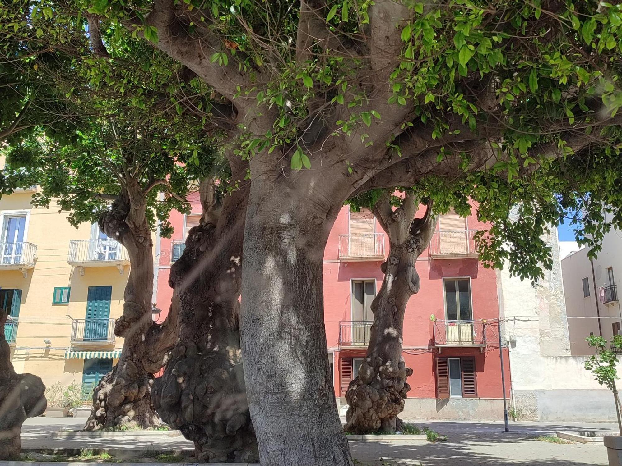 Alla Marina Da Pina Trapani Exterior photo