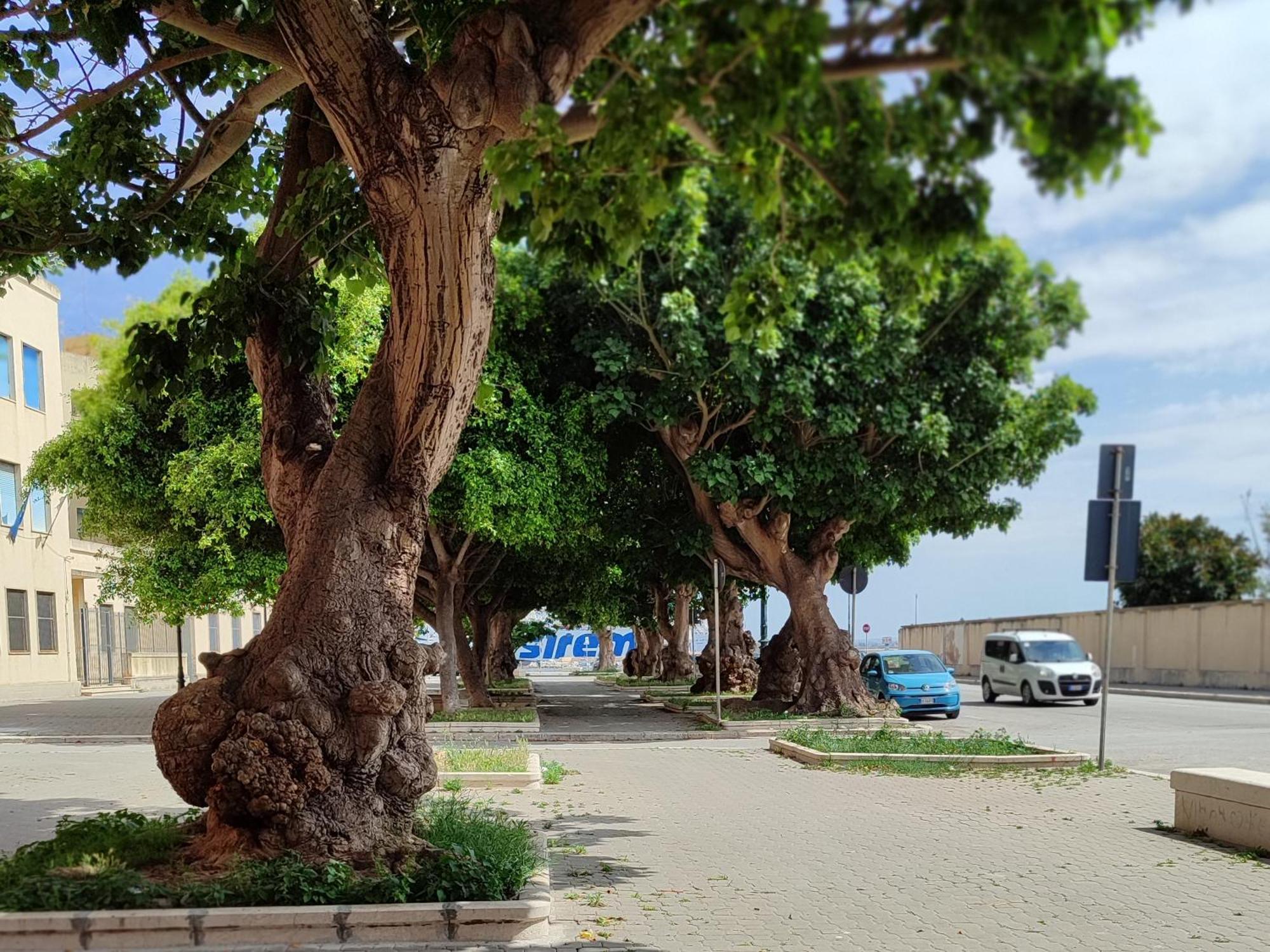 Alla Marina Da Pina Trapani Exterior photo
